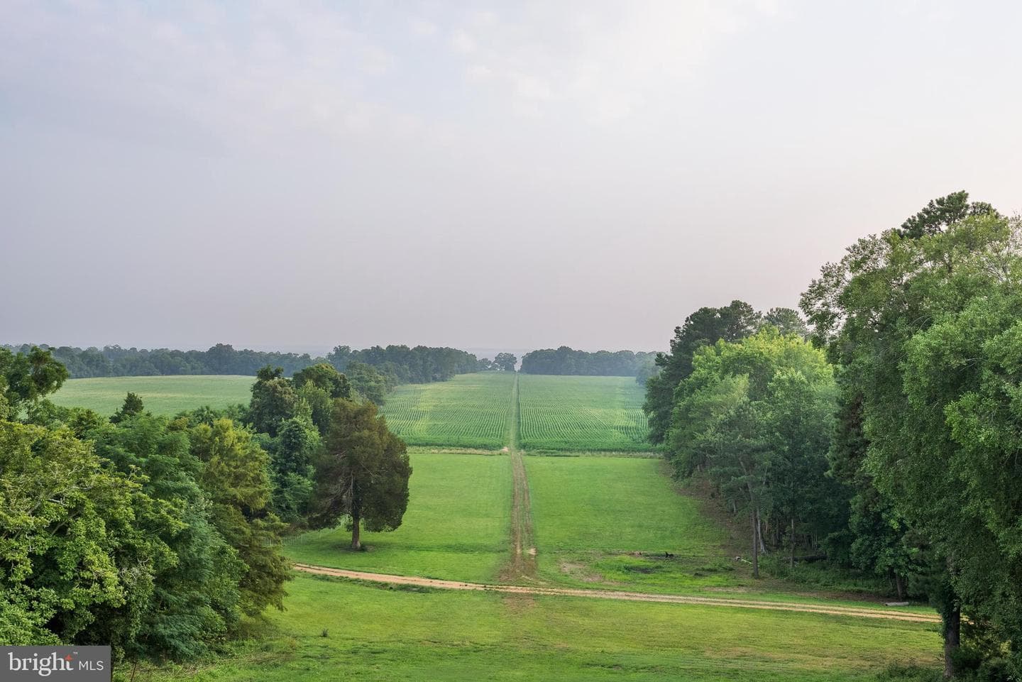 19700 Mulberry Fields Road photo 39