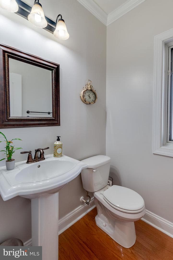 45201 Shetland Acres Drive photo 16