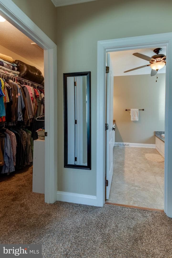 45201 Shetland Acres Drive photo 27