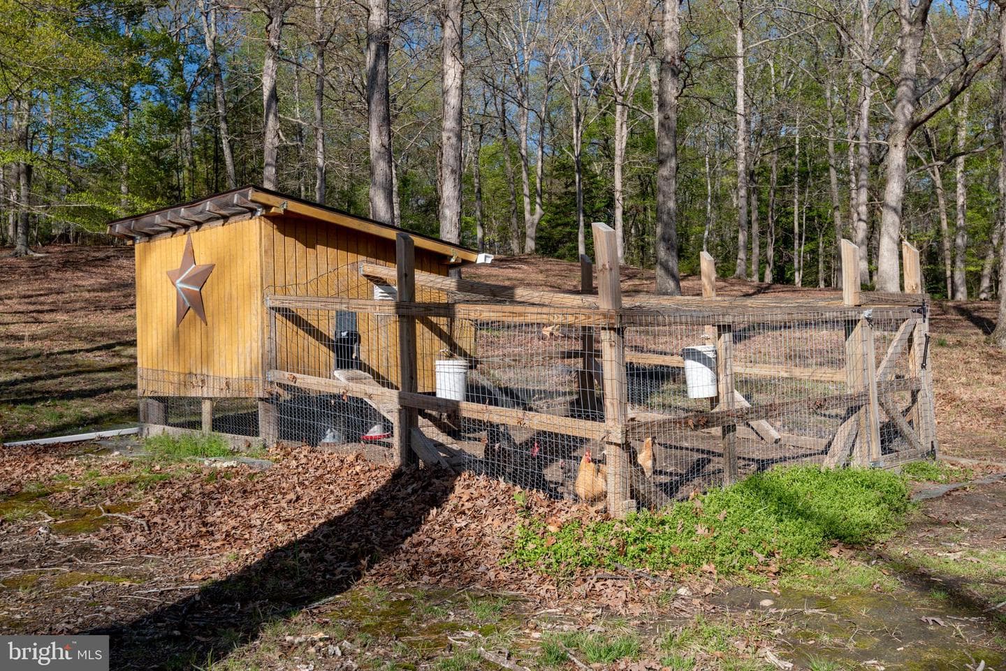 45201 Shetland Acres Drive photo 42