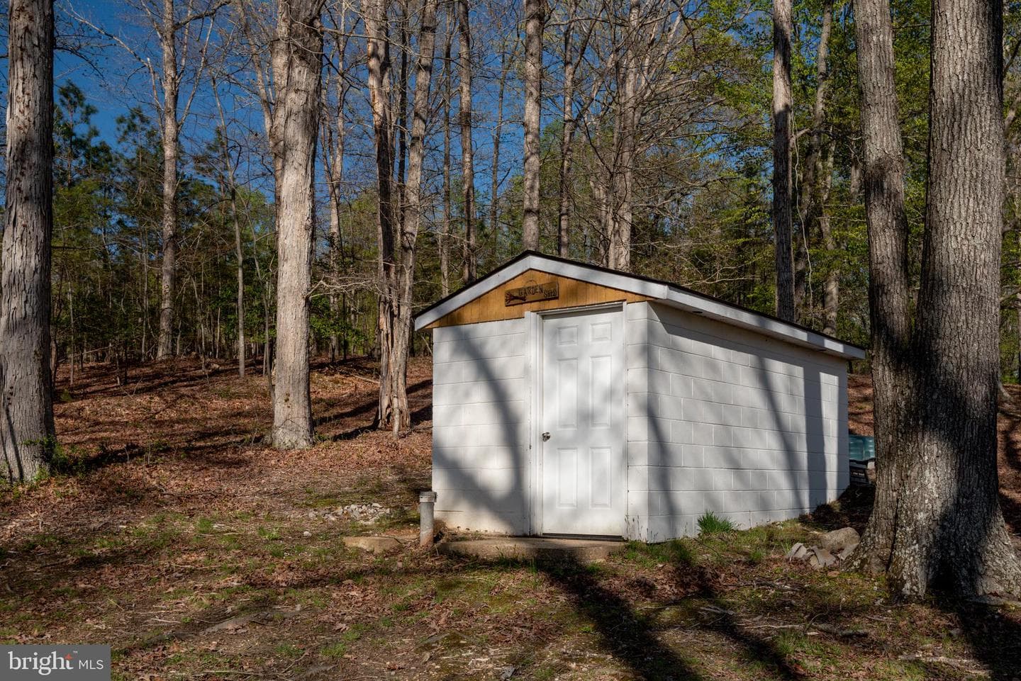 45201 Shetland Acres Drive photo 43