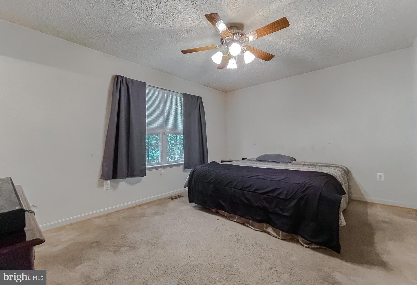 37948 George F Drive photo 24
