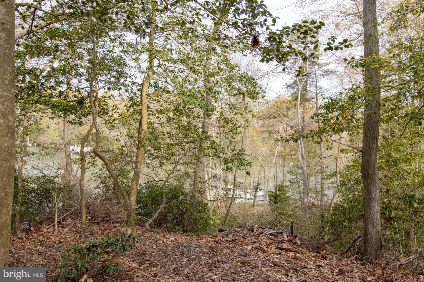 27273 Holly Lane photo 11
