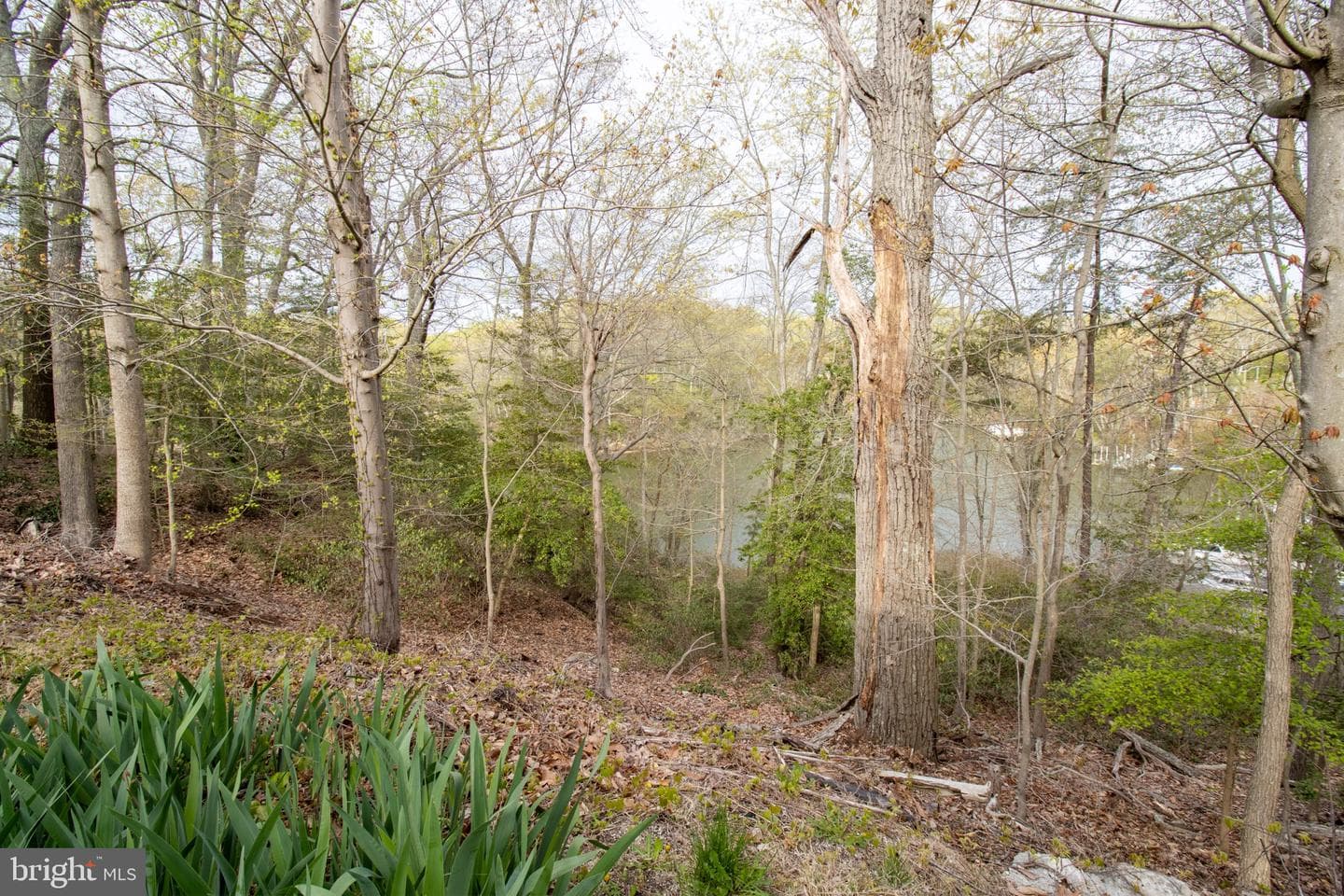 27273 Holly Lane photo 12