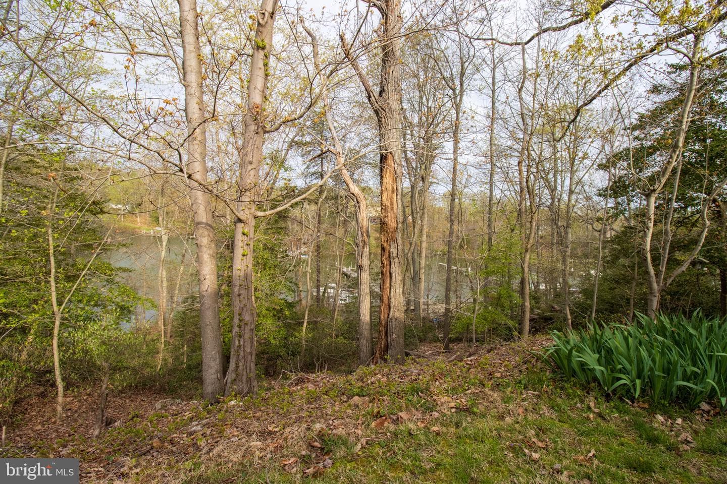 27273 Holly Lane photo 13