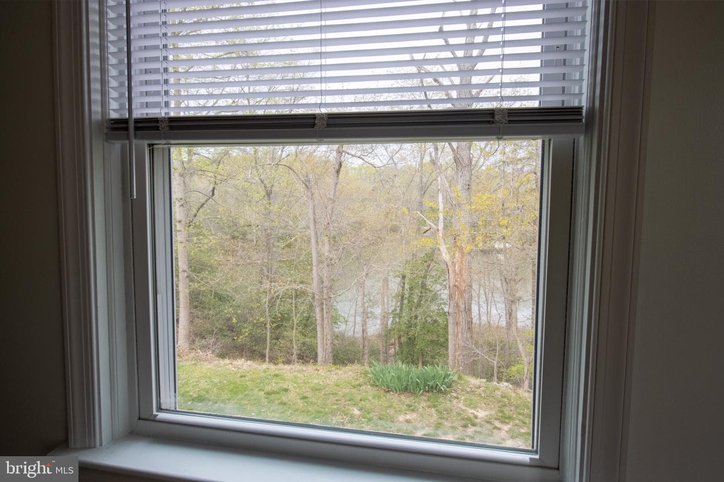 27273 Holly Lane photo 29