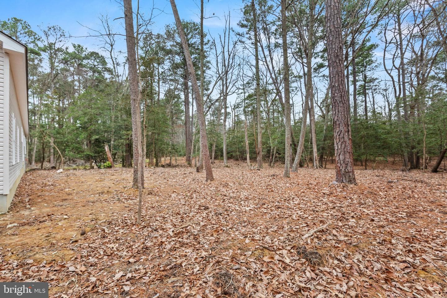 17881 Three Notch Road photo 14