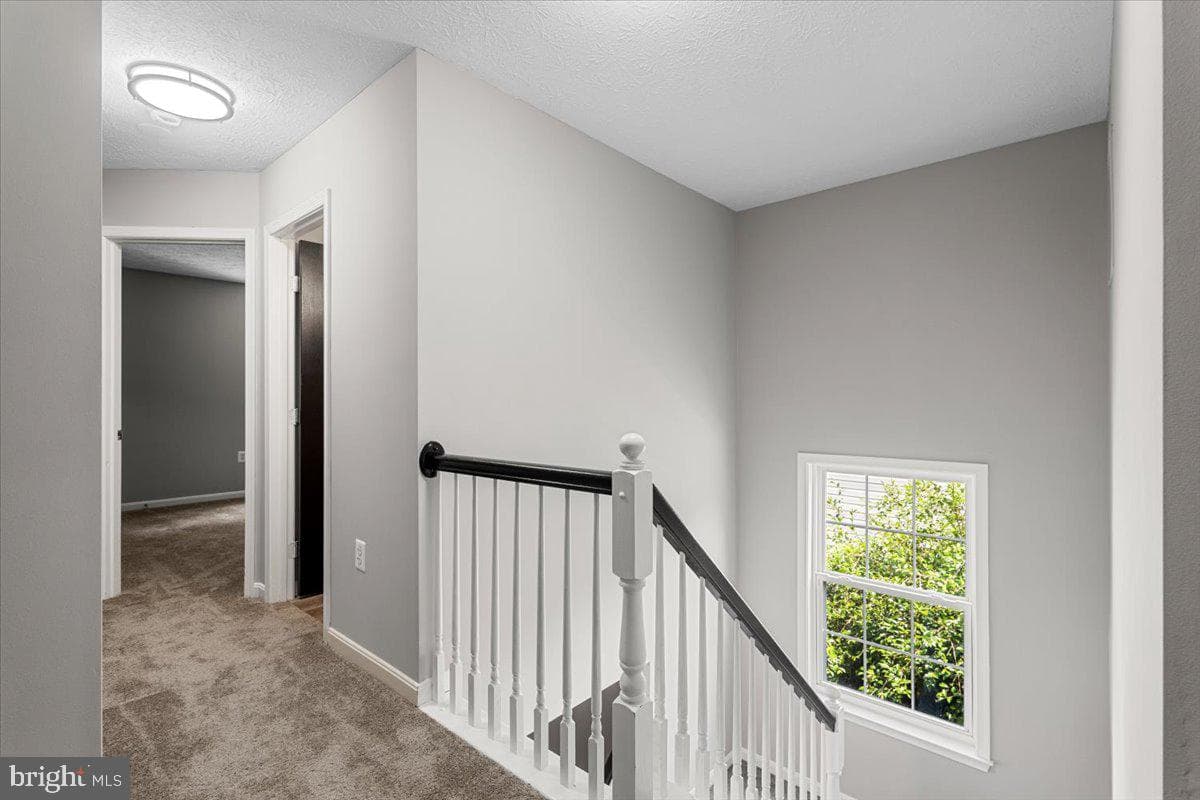 47912 Piney Orchard Street photo 11