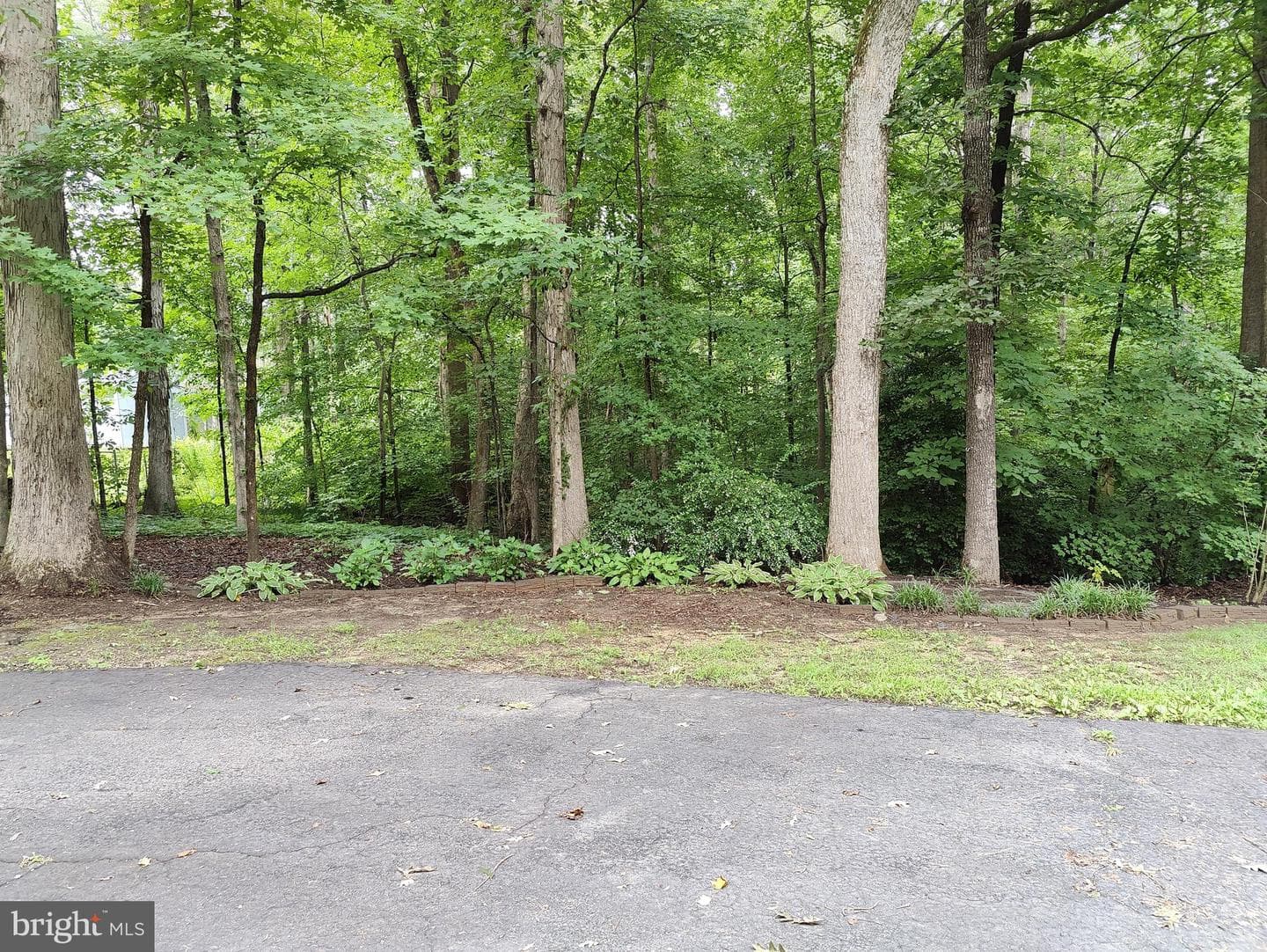 36915 W Lakeland Drive photo 22