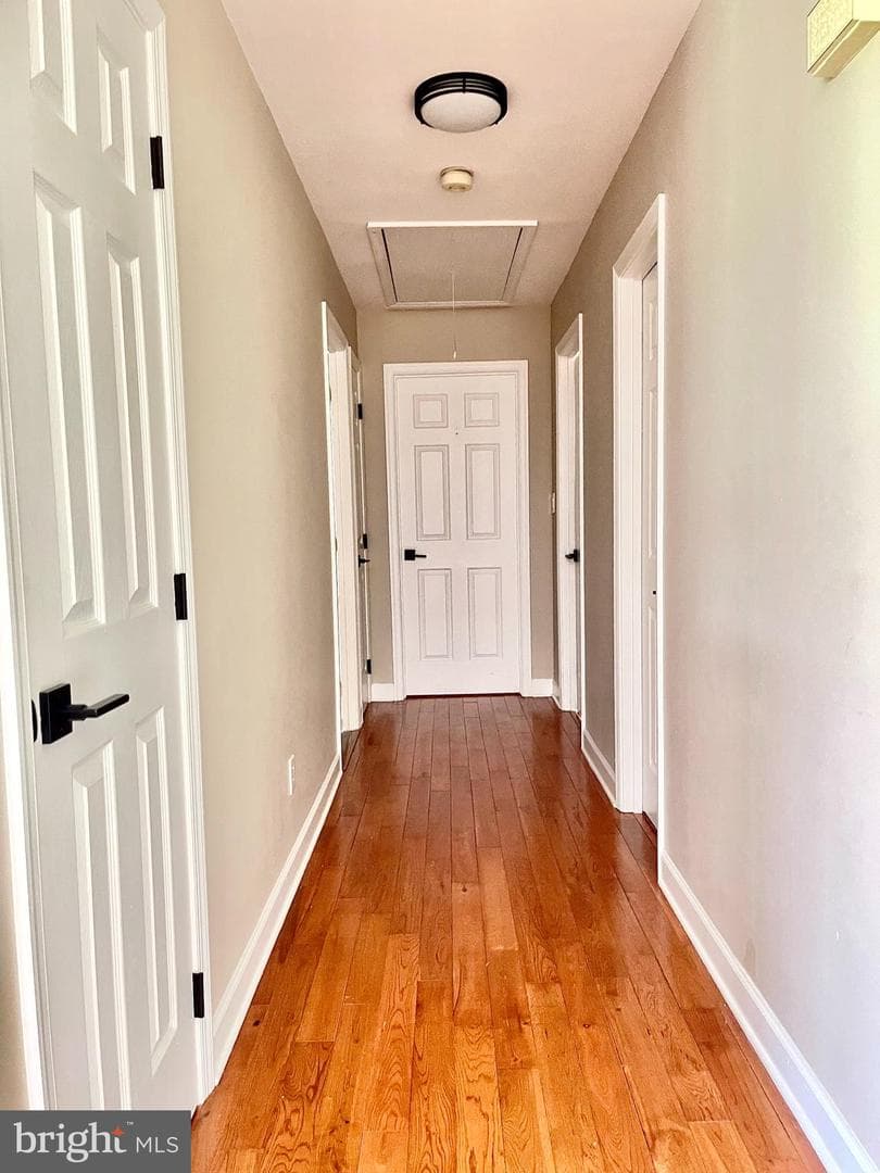 25795 Shamrock Lane photo 18