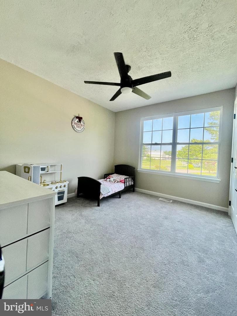 25795 Shamrock Lane photo 23