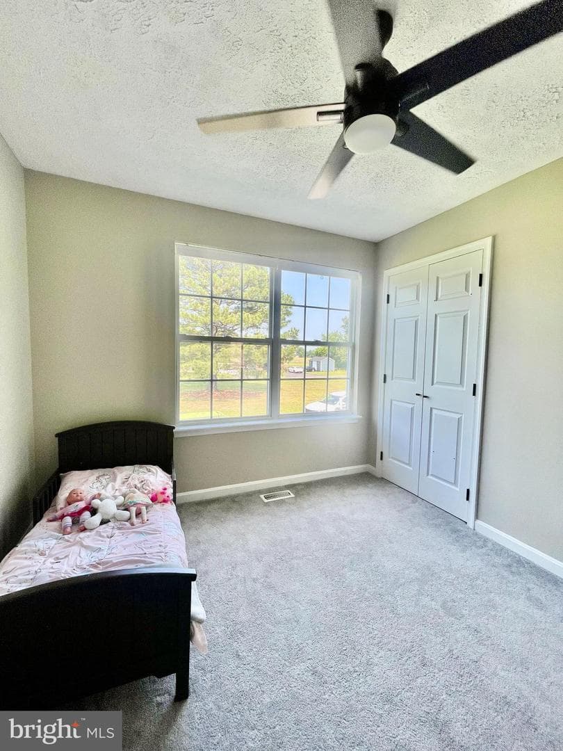 25795 Shamrock Lane photo 24