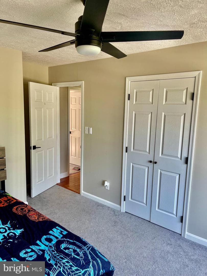25795 Shamrock Lane photo 26