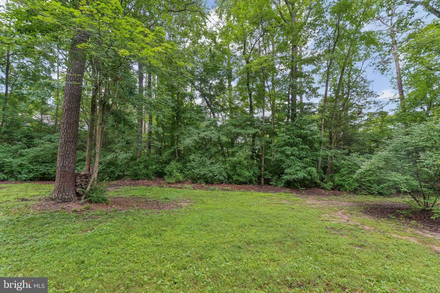 23317 Red Oak Court photo 34