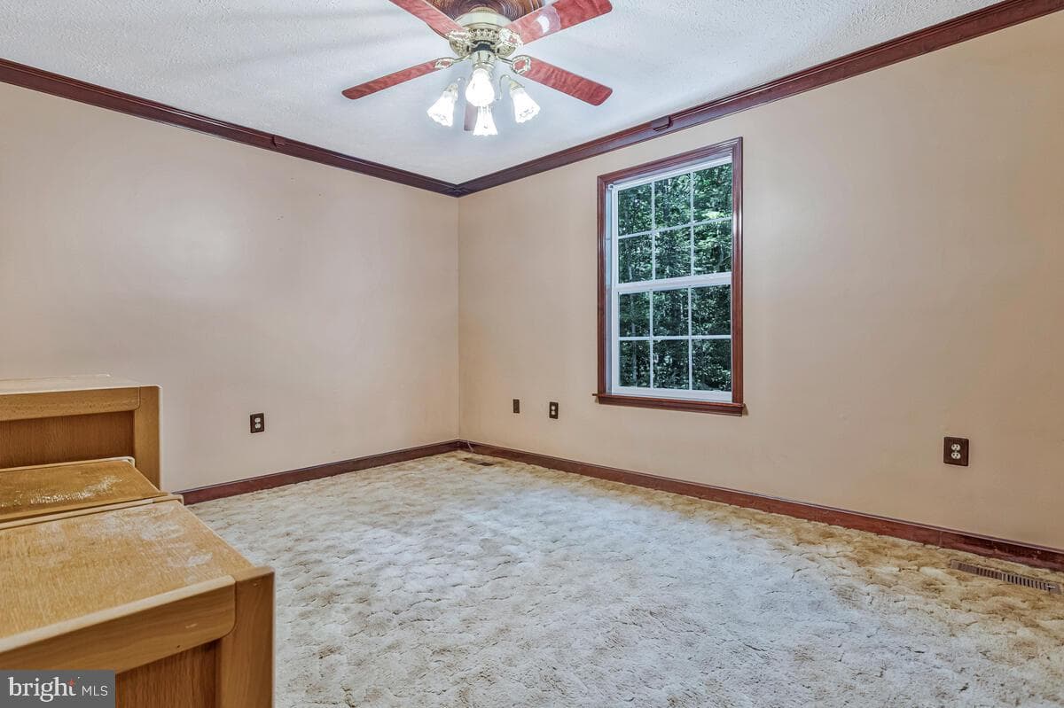 36903 Kimberly Court photo 24