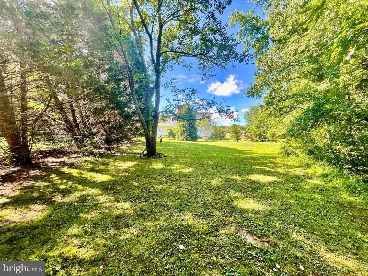 24549 Fwd Drive photo 35