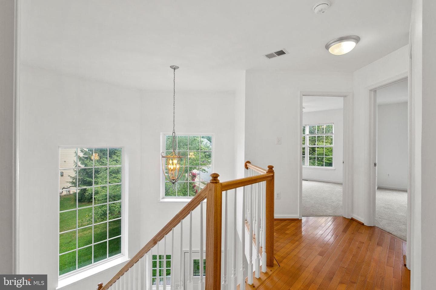 23421 Dahlia Circle photo 12