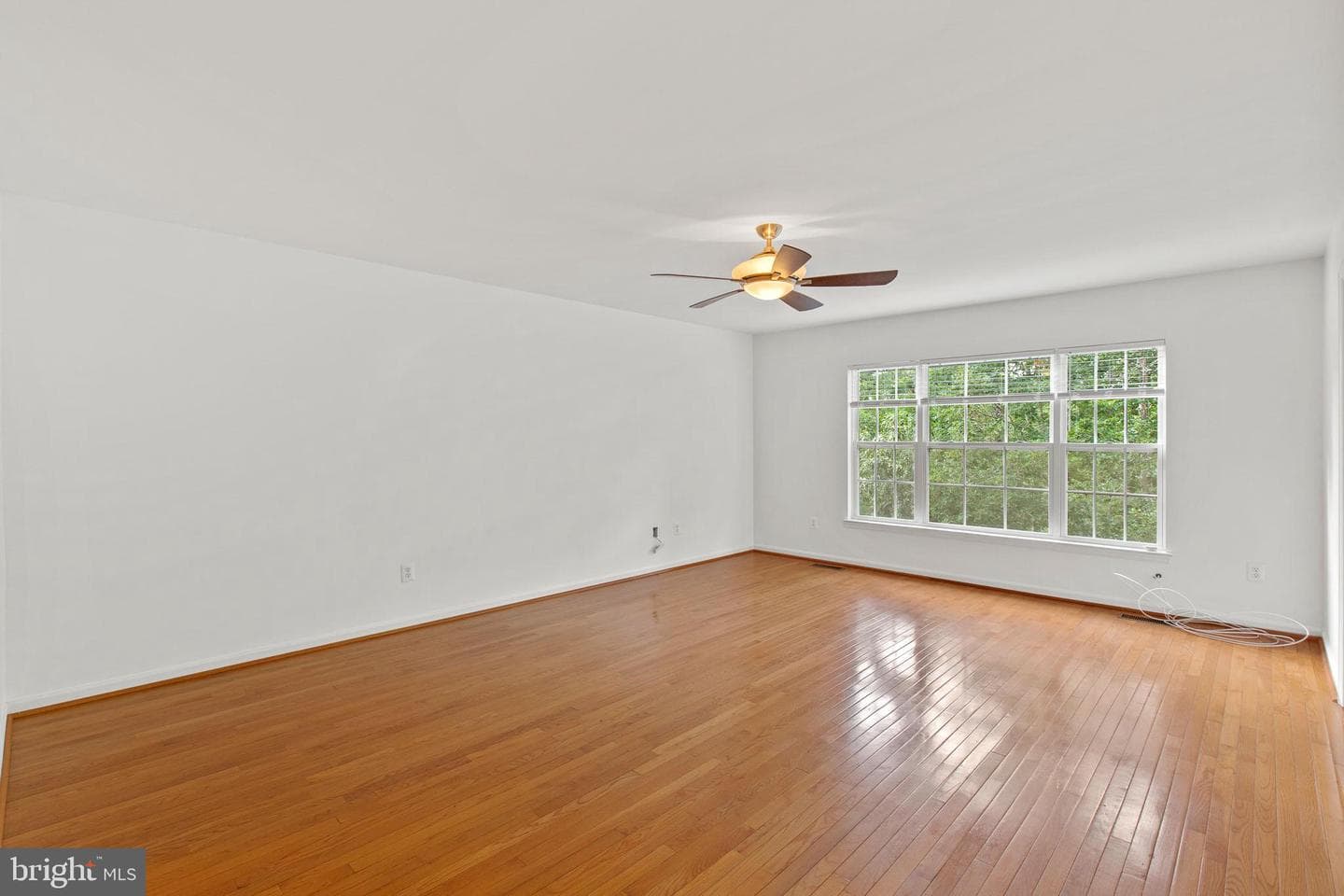 23421 Dahlia Circle photo 17