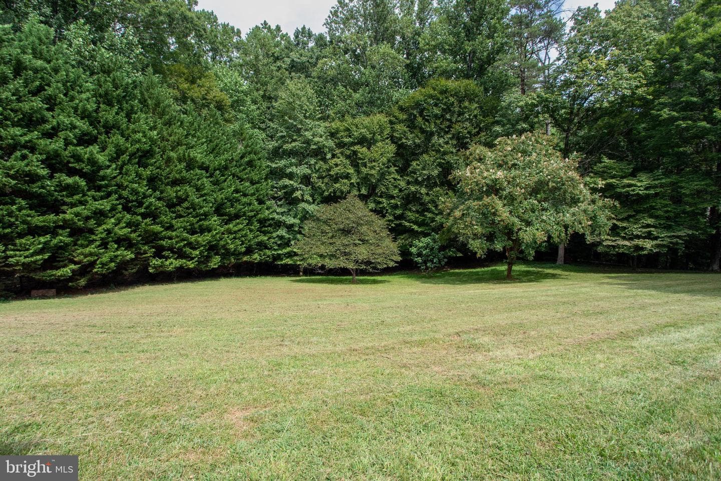 39620 Ellen Court photo 18
