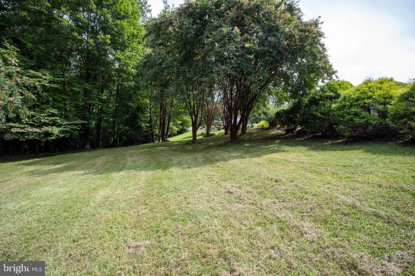 39620 Ellen Court photo 19