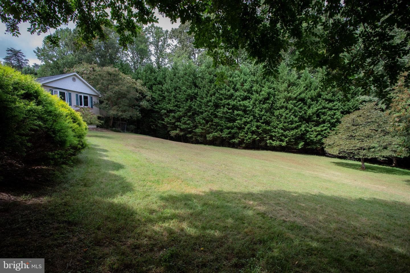 39620 Ellen Court photo 22
