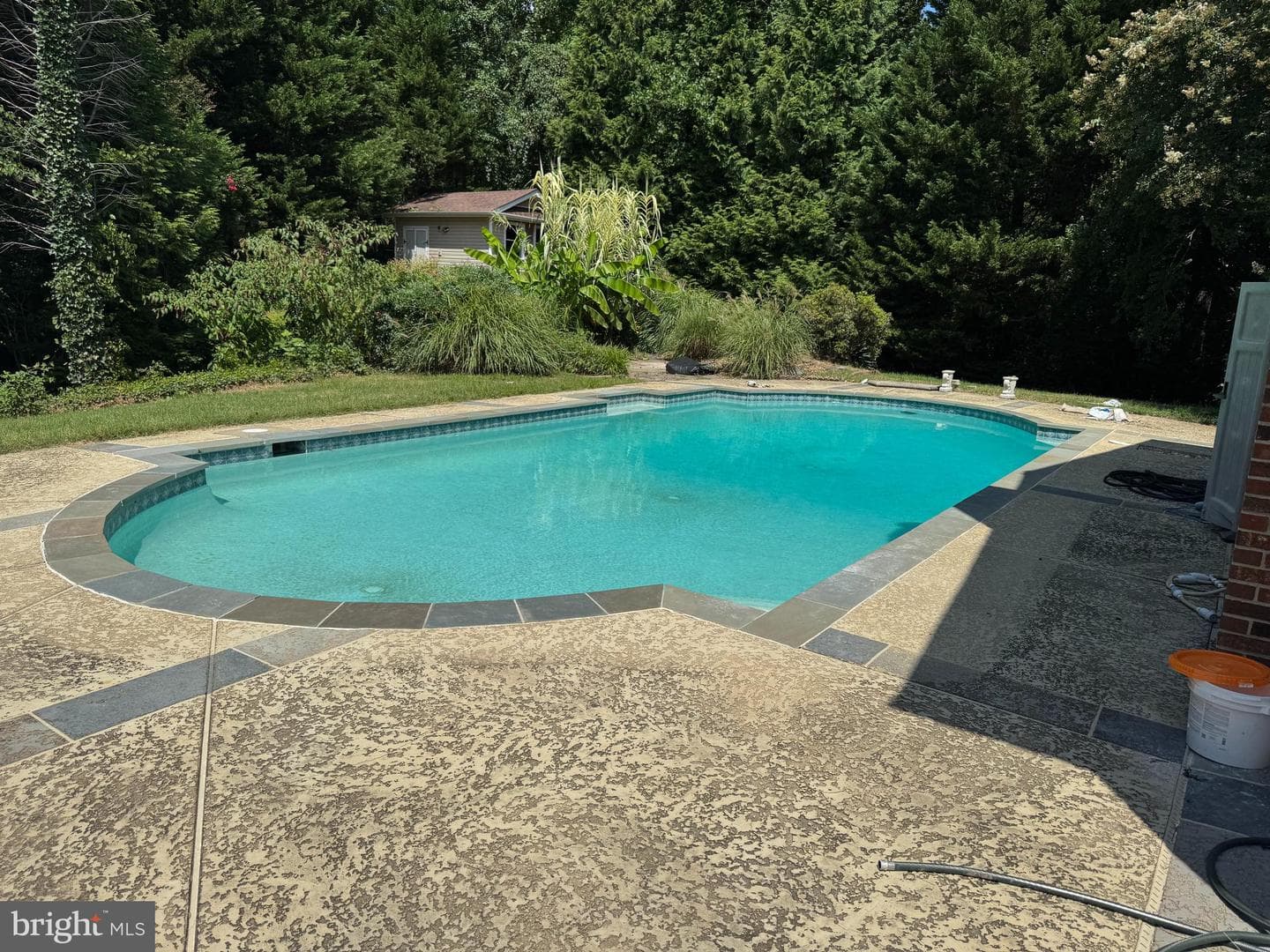 39620 Ellen Court photo 4
