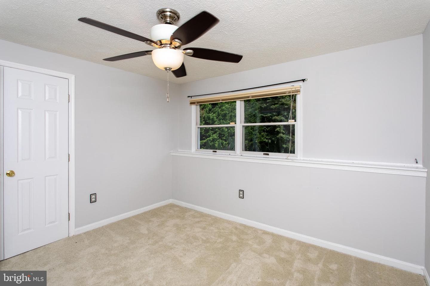 39620 Ellen Court photo 41