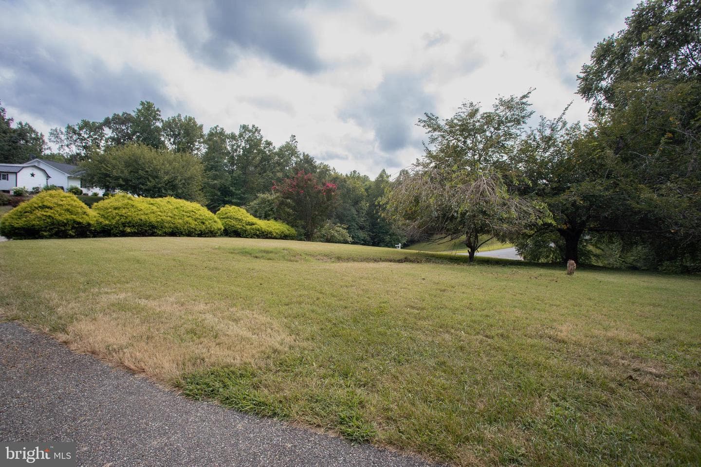39620 Ellen Court photo 5