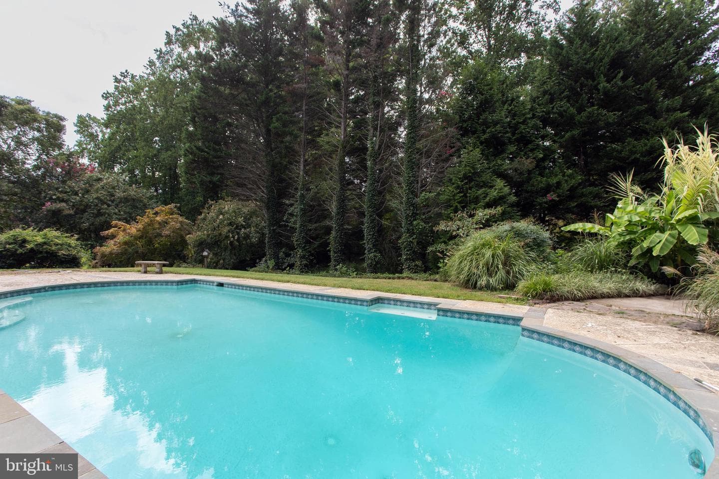 39620 Ellen Court photo 52