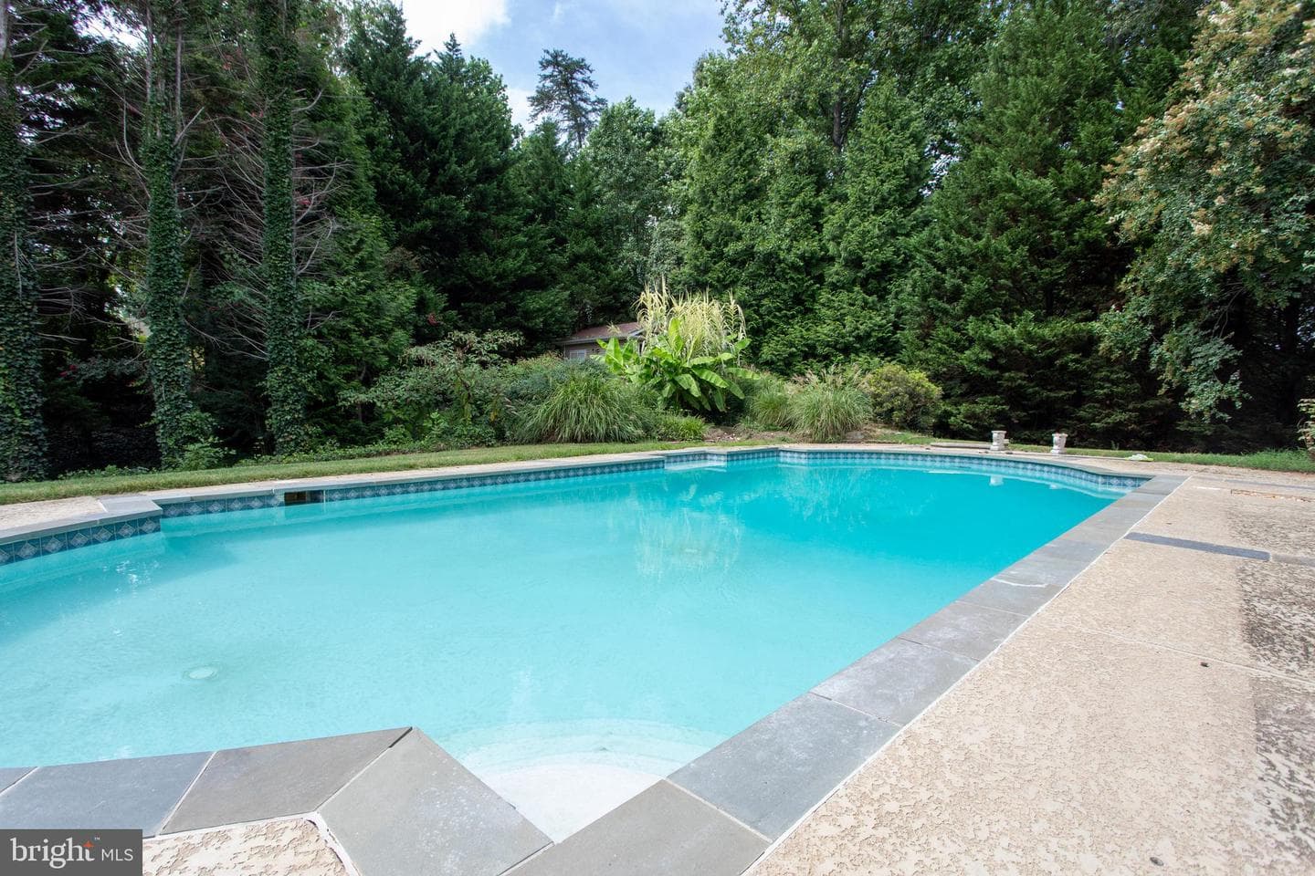 39620 Ellen Court photo 53
