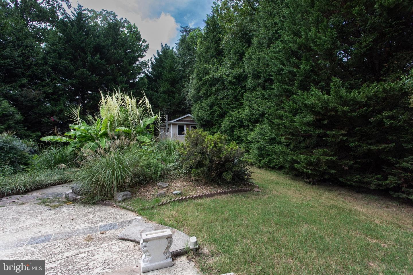 39620 Ellen Court photo 57