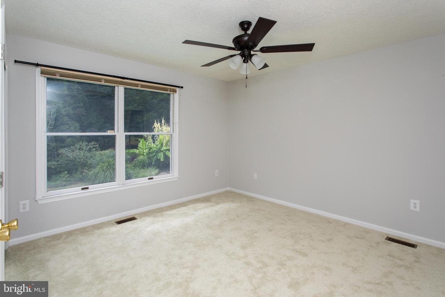 39620 Ellen Court photo 76
