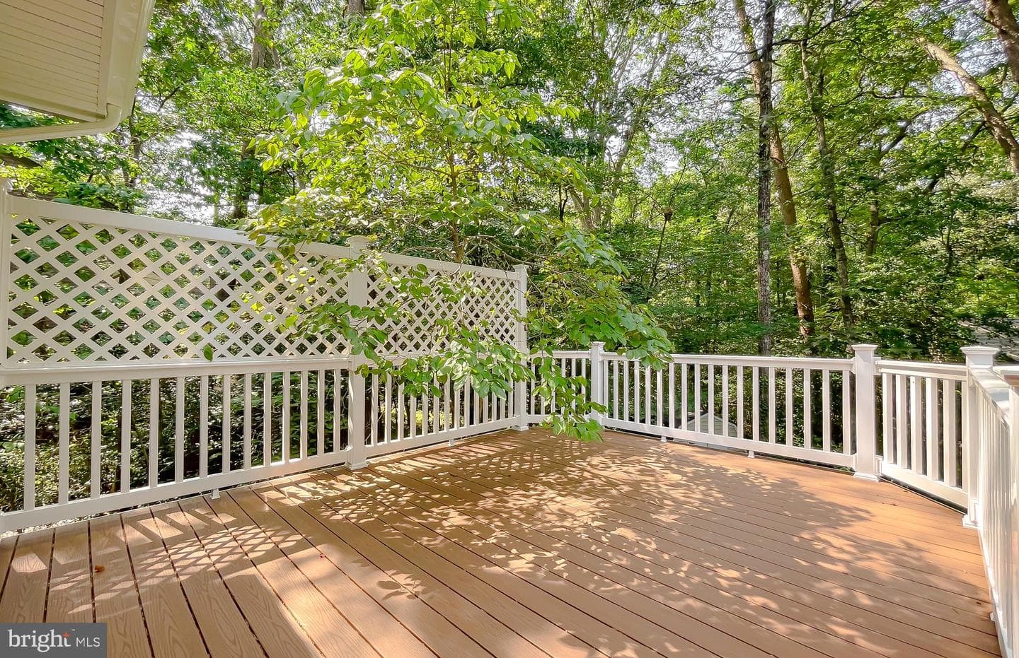 44563 Mistletoe Lane photo 41