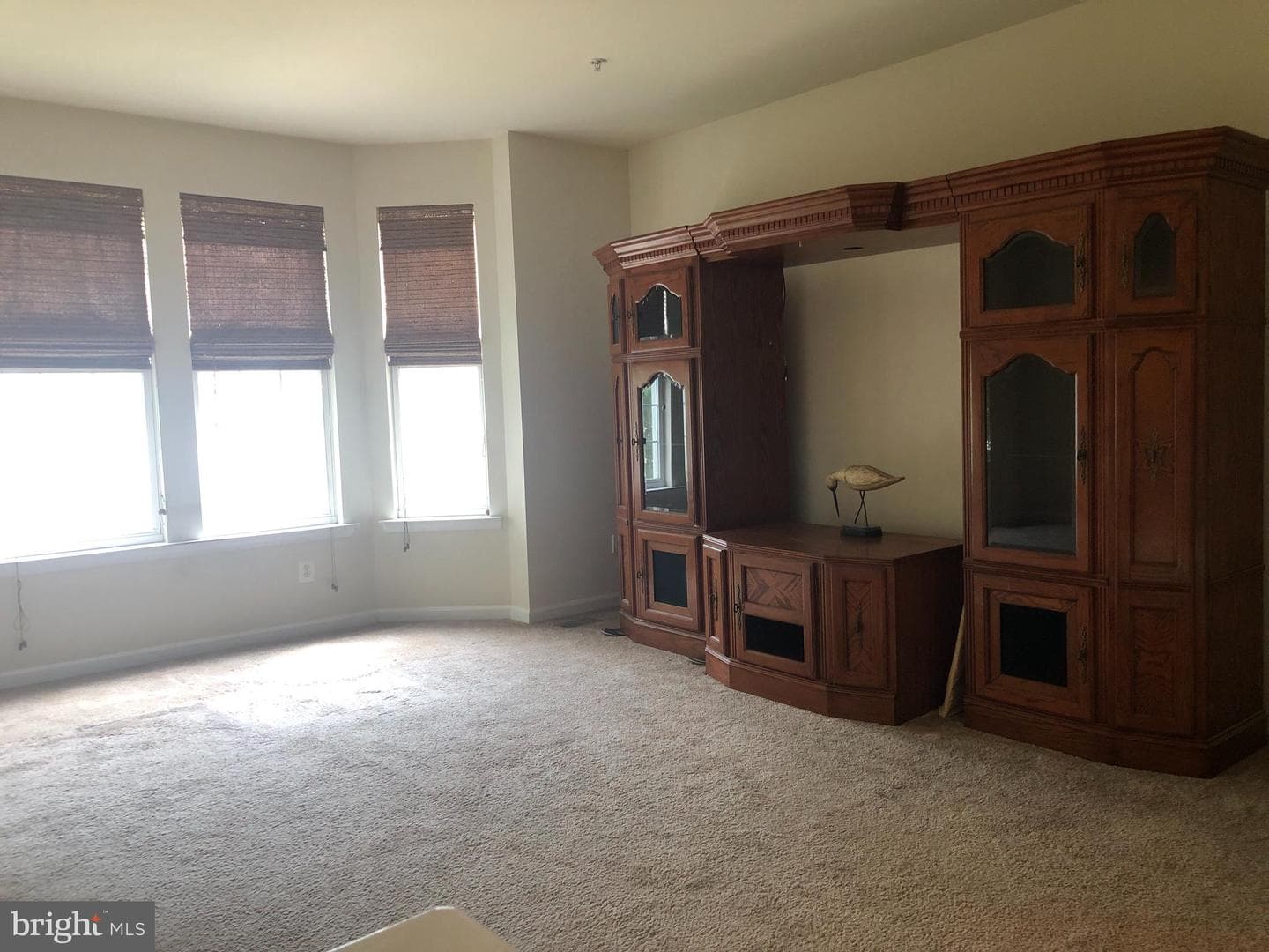 45711 N Maxine Way photo 10
