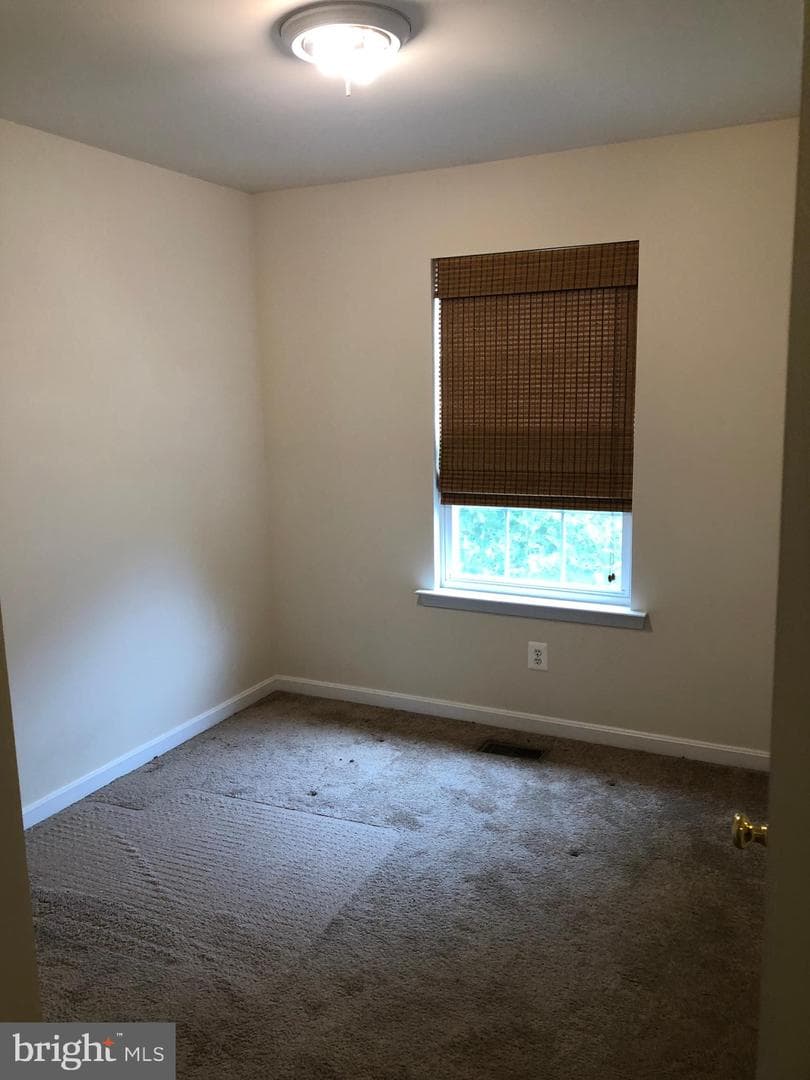 45711 N Maxine Way photo 27