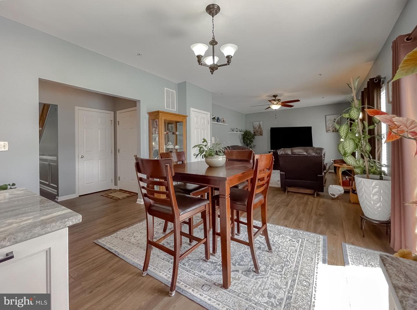 20898 Governors Mill Court photo 14