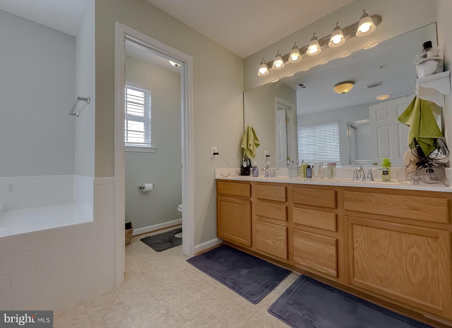 20898 Governors Mill Court photo 28