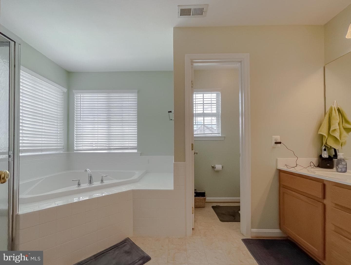 20898 Governors Mill Court photo 29