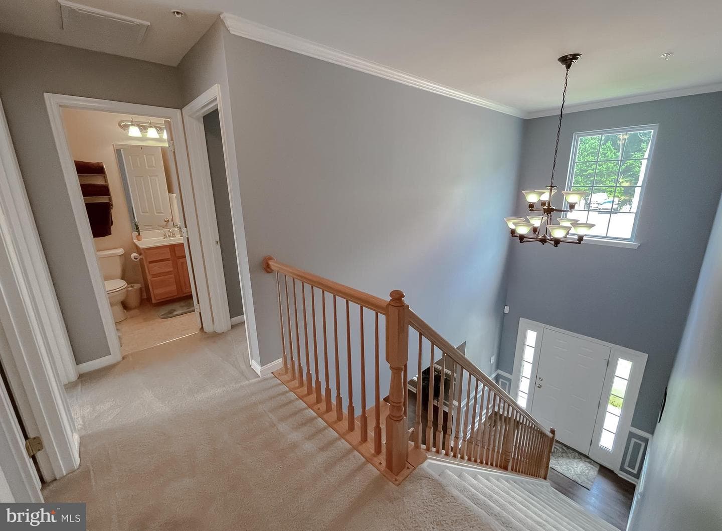 20898 Governors Mill Court photo 41