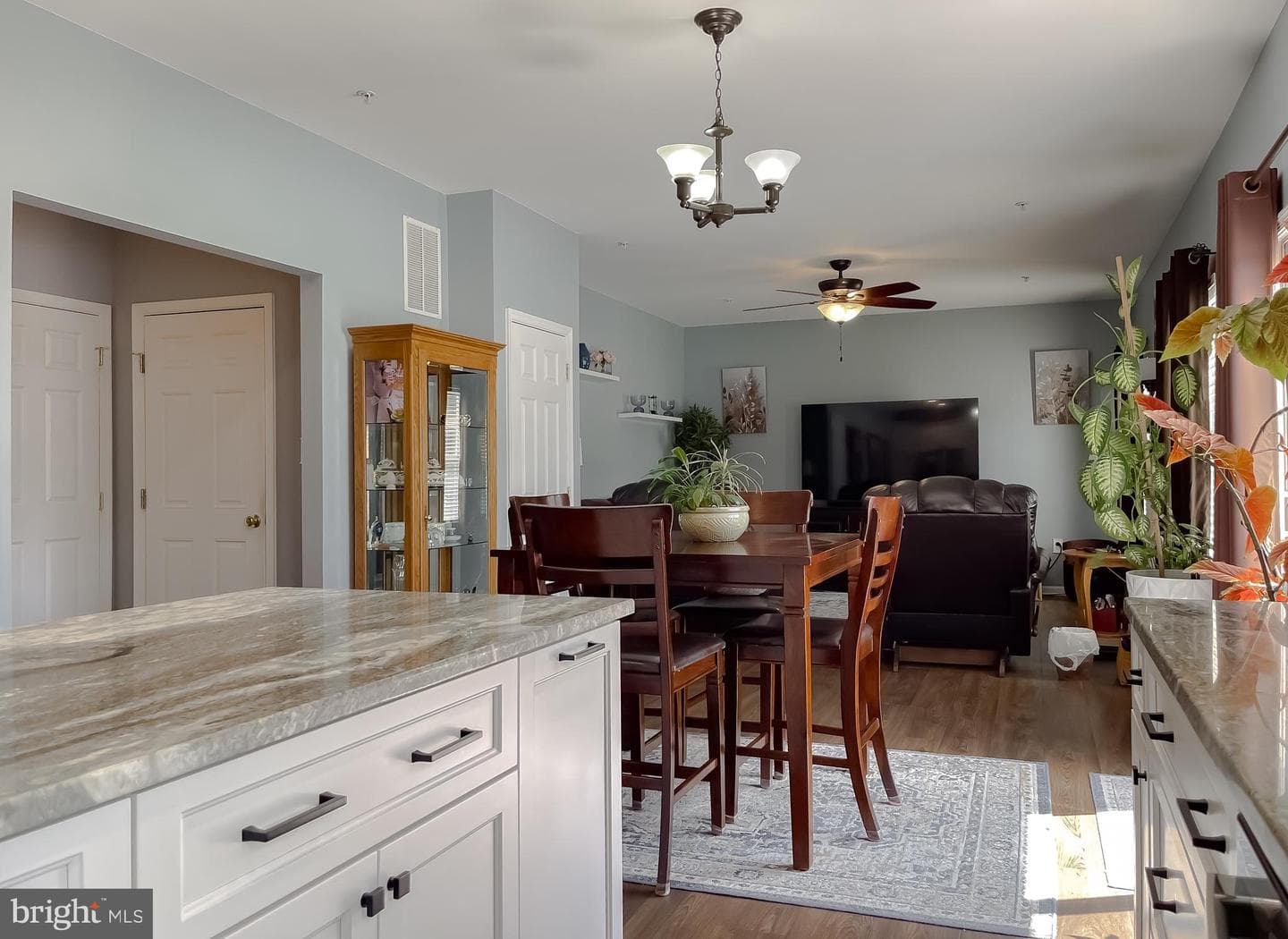20898 Governors Mill Court photo 9