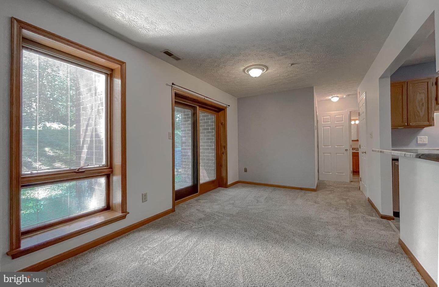 44792 Locust Ridge Court #1c/849 photo 12