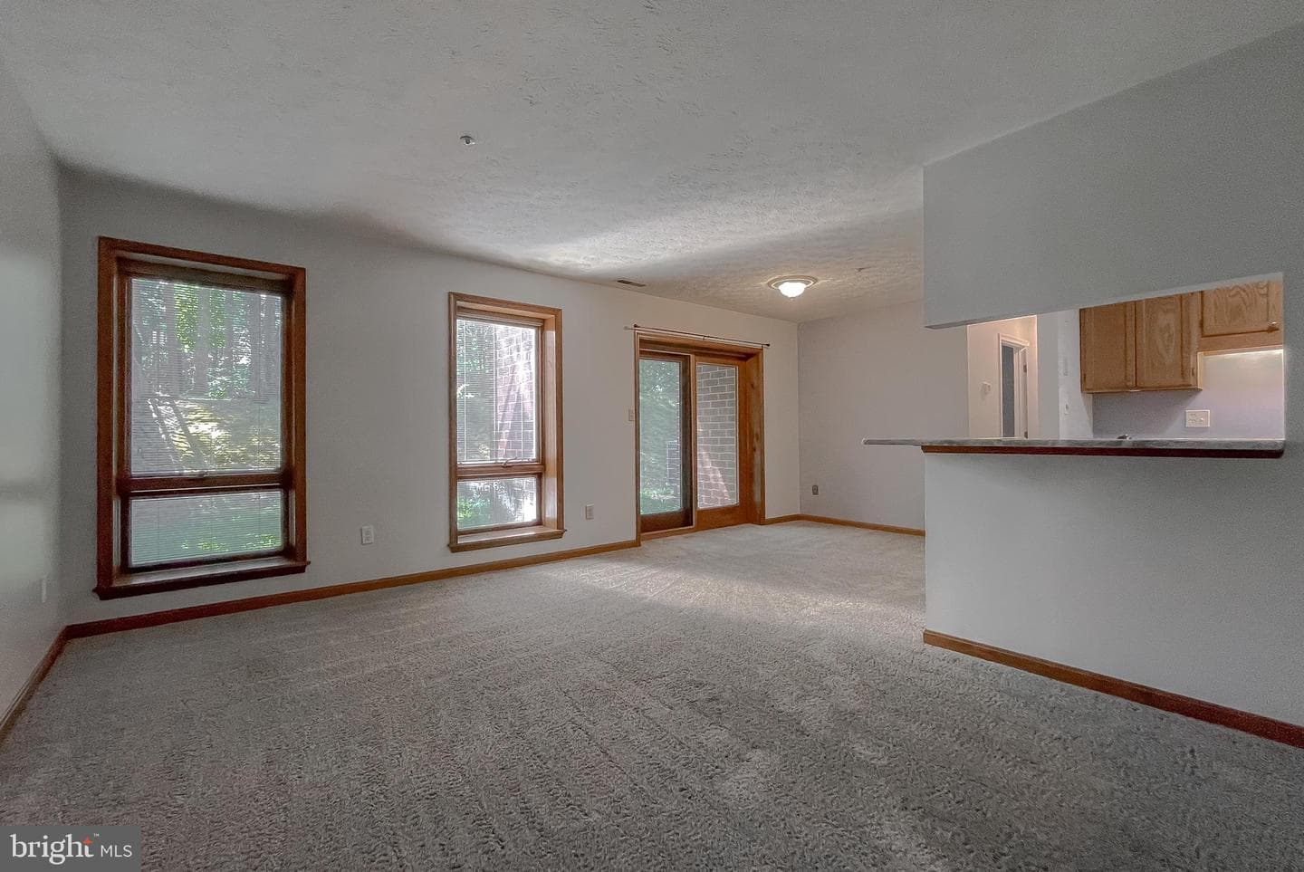 44792 Locust Ridge Court #1c/849 photo 2