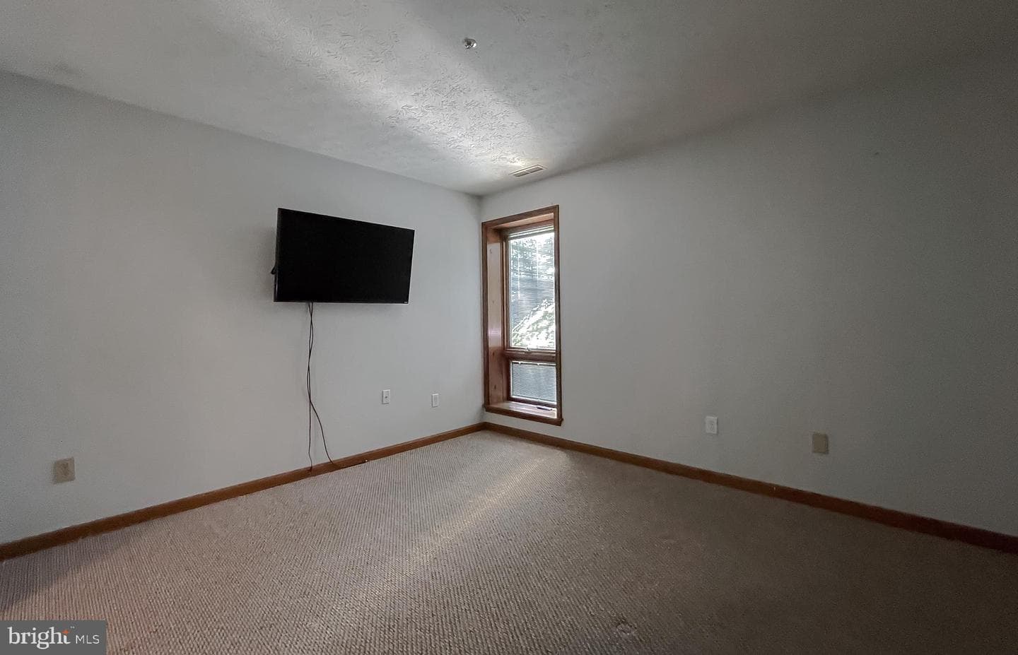 44792 Locust Ridge Court #1c/849 photo 20