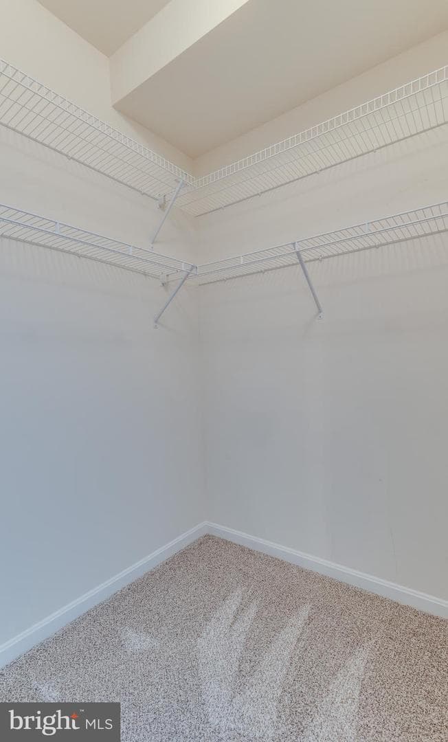 23570 F D R Boulevard #202 photo 12