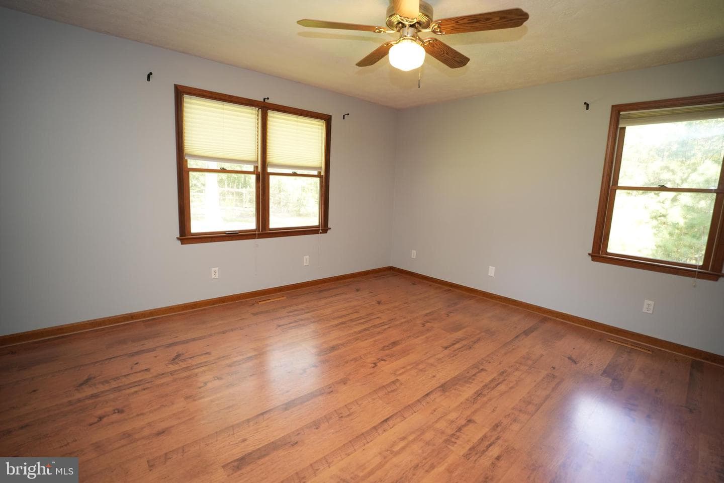 20413 Scarlet Tanager Way photo 14
