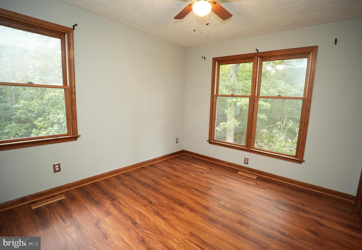 20413 Scarlet Tanager Way photo 16
