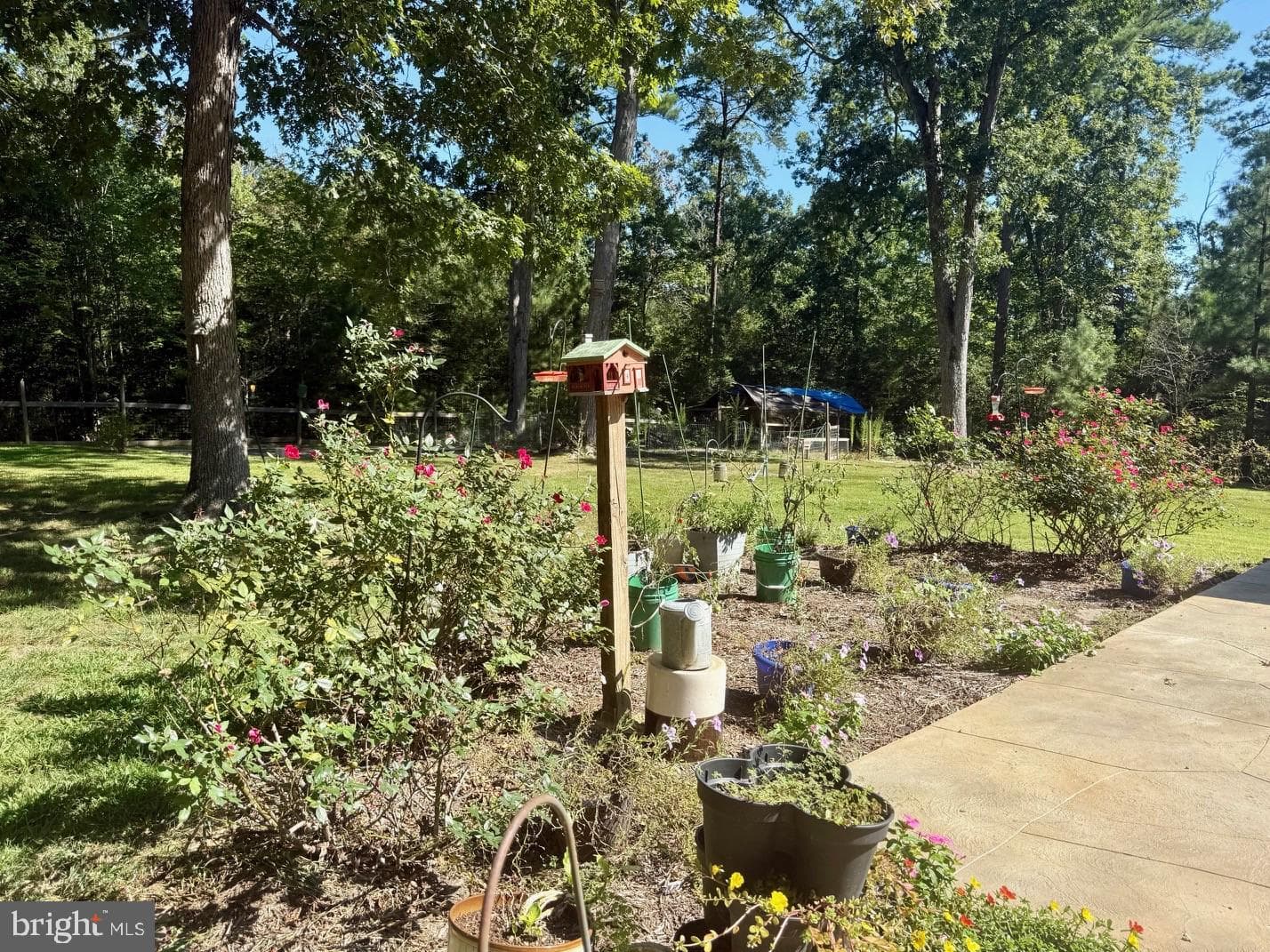 20413 Scarlet Tanager Way photo 29