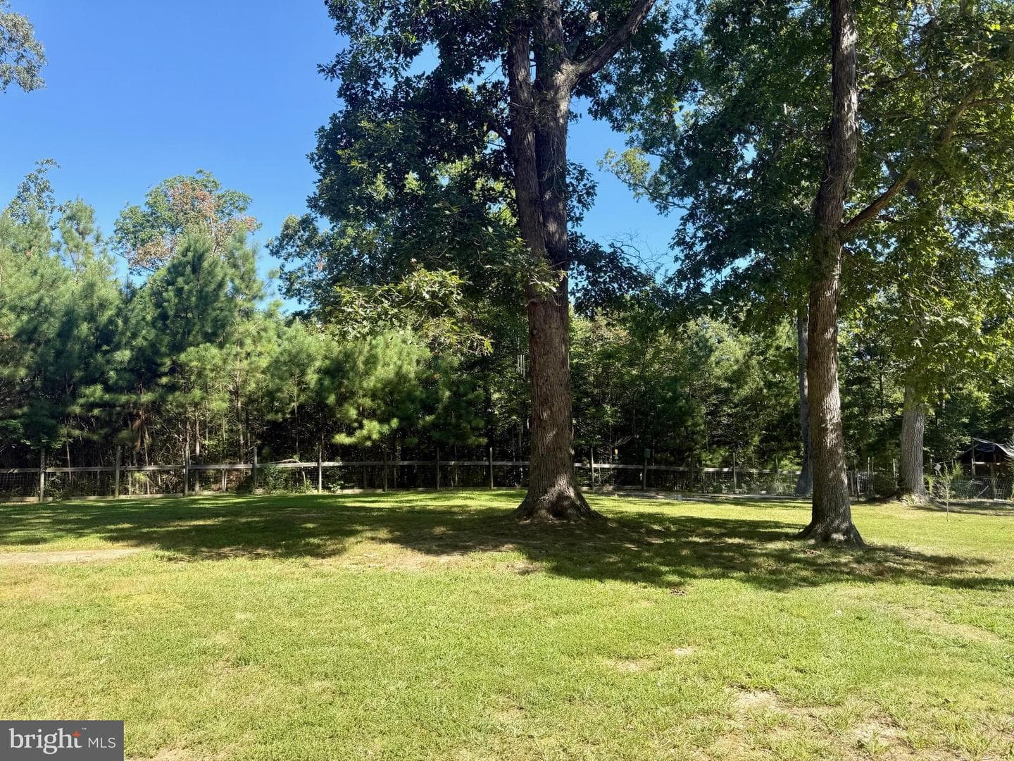 20413 Scarlet Tanager Way photo 33