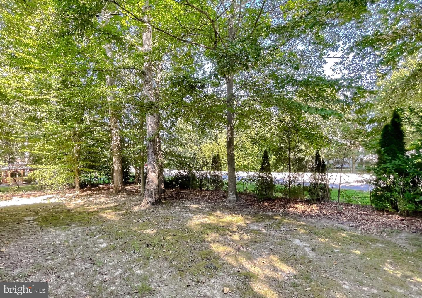 43915 Honeysuckle Way photo 49