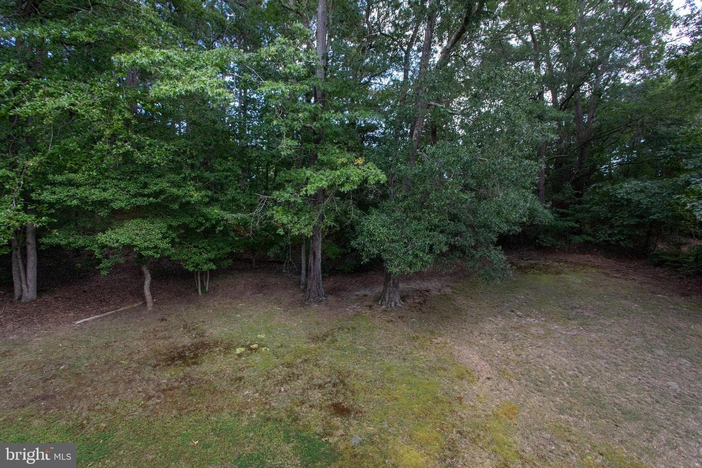 21530 Warwick Court photo 10